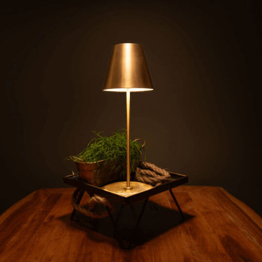 Fullambience Stable verlichting een keukentafel met planten.